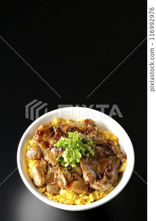 Pheasant rice bowl, yakitori rice bowl, and oyakodon photographed against a black background Pheasant rice bowl, yakitori rice bowl, and oyakodon photographed against a black background 116992976