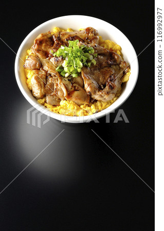 Pheasant rice bowl, yakitori rice bowl, and oyakodon photographed against a black background Pheasant rice bowl, yakitori rice bowl, and oyakodon photographed against a black background 116992977