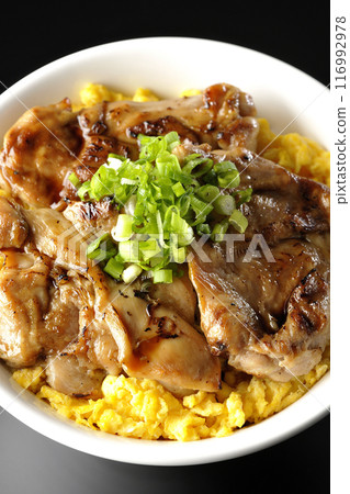 木地燒丼、烤雞肉串丼、親子丼在黑色背景下拍攝 木地燒丼、烤雞肉串丼、親子丼在黑色背景下拍攝 116992978