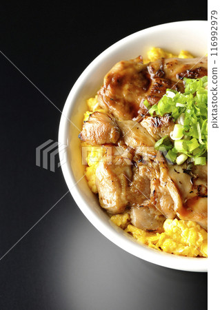 Pheasant rice bowl, yakitori rice bowl, and oyakodon photographed against a black background Pheasant rice bowl, yakitori rice bowl, and oyakodon photographed against a black background 116992979
