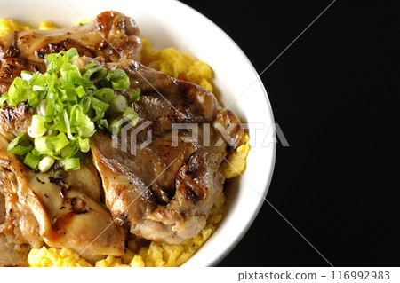 Pheasant rice bowl, yakitori rice bowl, and oyakodon photographed against a black background Pheasant rice bowl, yakitori rice bowl, and oyakodon photographed against a black background 116992983