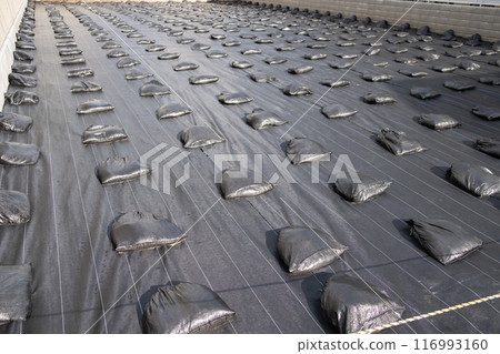 Image of weed control sheet 116993160