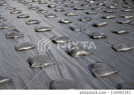 雜草控製表的圖像 116993161