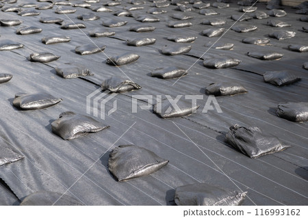 Image of weed control sheet 116993162