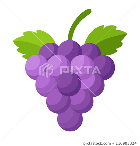 grape colorful fruit. Modern abstract flat style. grape colorful fruit. Modern abstract flat style. 116993324