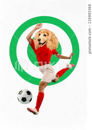 Contemporary art collage. Football player with head of Cocker spaniel ready to kick ball against background with green aim. Contemporary art collage. Football player with head of Cocker spaniel ready to kick ball against background with green aim. 116993368