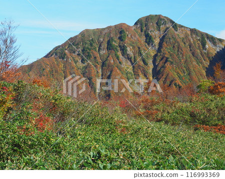 Echigo-Komagatake in autumn as seen from the Nakanodake hiking trail Echigo-Komagatake in autumn as seen from the Nakanodake hiking trail 116993369