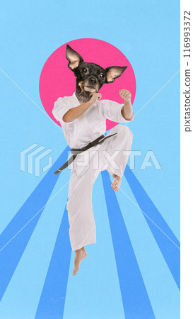 Contemporary art collage. Karateka with head of Chihuahua jumps in md air ready to hit against cartooned background with dynamic lines. Contemporary art collage. Karateka with head of Chihuahua jumps in md air ready to hit against cartooned background with dynamic lines. 116993372