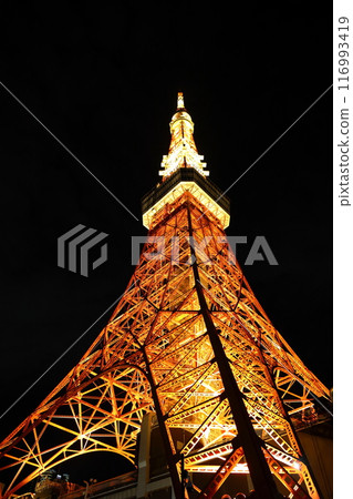 東京鐵塔在晚上 東京鐵塔在晚上 116993419