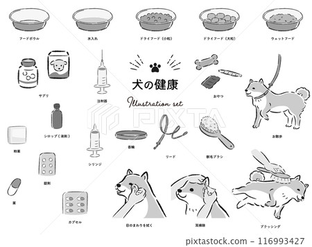 Dog health related illustration set 116993427
