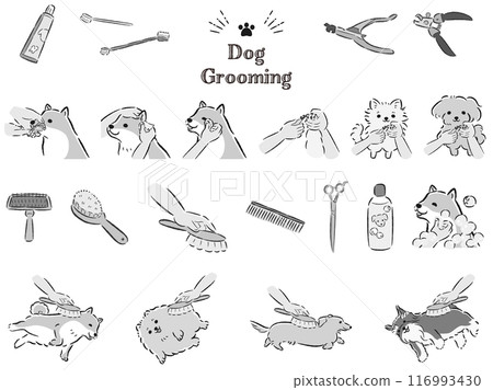 狗護理插圖集 狗護理插圖集 116993430