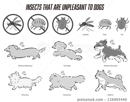 Illustration set of insect control for dogs Illustration set of insect control for dogs 116993440