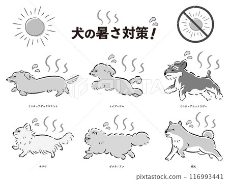 Illustration set of dog heat protection measures Illustration set of dog heat protection measures 116993441
