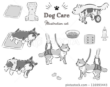 狗狗護理相關插畫集 116993443