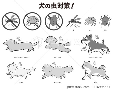 狗的昆蟲預防插圖集 116993444