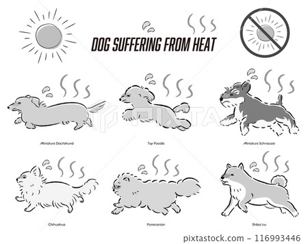 Illustration set of dog heat protection measures Illustration set of dog heat protection measures 116993446