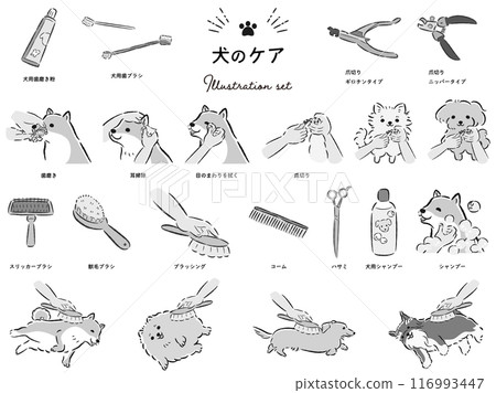 Dog care illustration set Dog care illustration set 116993447