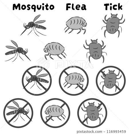 害蟲插圖集（蚊子、跳蚤、蜱蟲） 116993459