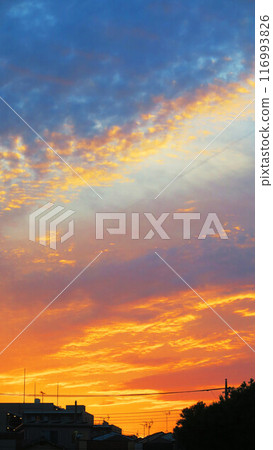 Cityscape of sunset sky (vertical photo) 116993826