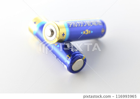 AA 鹼性電池 116993965