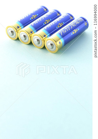 AA alkaline batteries AA alkaline batteries 116994000