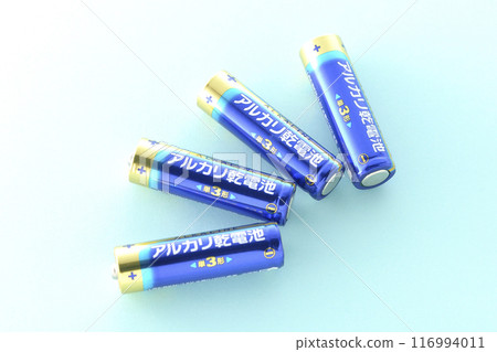 AA 鹼性電池 116994011