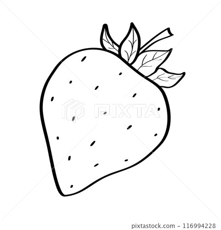 Strawberry sketch icon. Vector illustration of cartoon strawberry berry with leaves, doodle style. Isolated on white. 116994228