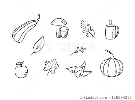 Autumn set of elements. Vector illustration fall icon doodle style. Items of tree leaves, hot tea pumpkin squash 116994255