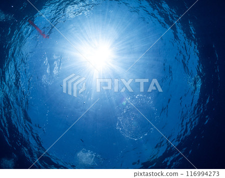 Sunlight and the sea Sunlight and the sea 116994273