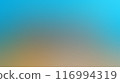 The image showcased a harmonious blend of tones, transitioning effortlessly from one to the other. 116994319