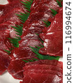 Horse sting 116994674