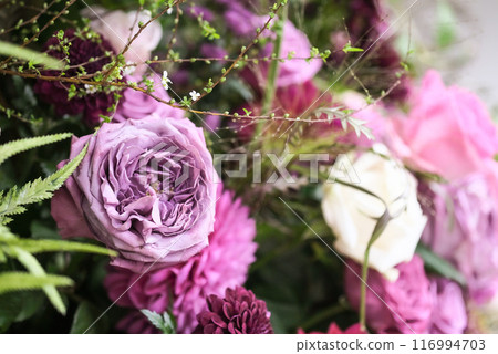 Pink roses and gypsophila 116994703