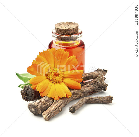 calendula supplement with flower on white backgrounds calendula supplement with flower on white backgrounds 116994930