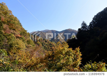 Autumn leaves Okutama Autumn leaves Okutama 116994978