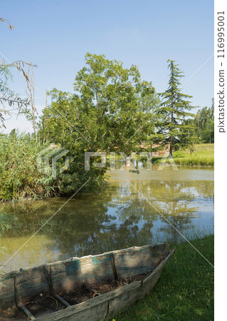 The abbey of Pomposa park, Italy 116995001