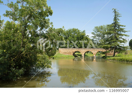 The abbey of Pomposa park, Italy 116995007