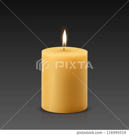 Vector 3D Realistic Paraffin Wax Burning Party Spa Candle and Burning Flame Closeup. Candle, Candle Flame Design Template for Relaxation, Wellness and Celebration Concept, Front View 116995019