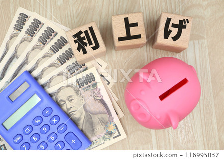 Pink piggy bank and the word "interest rate hike" Pink piggy bank and the word "interest rate hike" 116995037