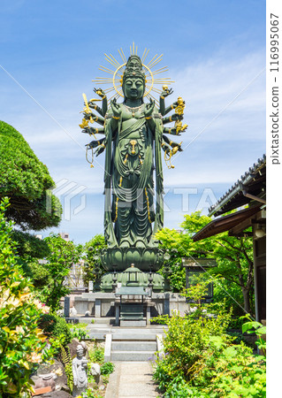 大阪市天王寺區江差町高德寺(天平時代創建)純正觀音 大阪市天王寺區江差町高德寺(天平時代創建)純正觀音 116995067