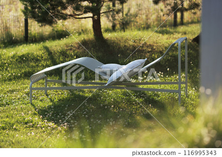 Blooming white clover flowers on the lawn in the garden. Blooming ecology nature landscape. White clover flowers among the grass. Landscape design concept. Saving wildlife concept. 116995343