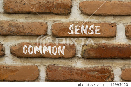 Common sense symbol. Concept words Common sense on beautiful brown bricks. Beautiful brick wall background. Beautiful brick wall. Business, motivational common sense concept. Copy space. Common sense symbol. Concept words Common sense on beautiful brown bricks. Beautiful brick wall background. Beautiful brick wall. Business, motivational common sense concept. Copy space. 116995400