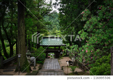 大久保寺 116995506