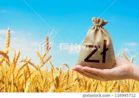 Wheat field and polish zloty money bag. World food security crisis, high prices. World hunger. Grains deficits, livestock feed. Starvation and famine. Agroindustry and agricultural business 116995712