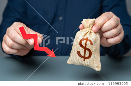 A man holds a red arrow pointing down near a dollar money bag. Financial difficulties, losses and reduced profitability. Economic downturn. Salary cuts. Financial stress. Devaluation of currency 116995905