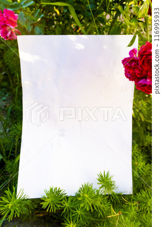 White paper and beautiful flowers White paper and beautiful flowers 116995933