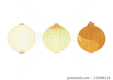 Yellow onion 116996219
