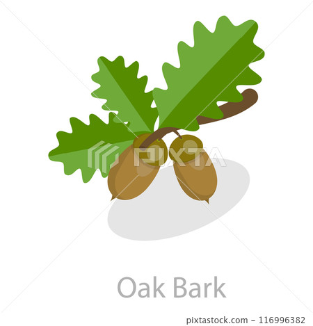 3D Isometric Flat Vector Set of Astringent Herbs, Natural Herbal Remedy. Item 10 116996382
