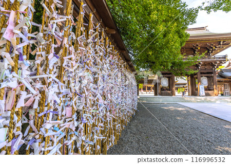 Samukawa cityscape in Japan. Samukawa Shrine, Ichinomiya of Sagami Province. Lots of greenery. July 21, 2024 Samukawa cityscape in Japan. Samukawa Shrine, Ichinomiya of Sagami Province. Lots of greenery. July 21, 2024 116996532