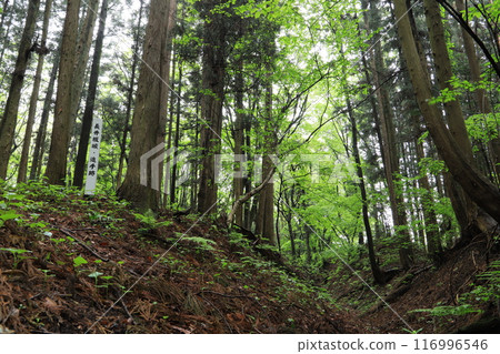 長坂城遺址 116996546