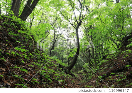 長坂城遺址 116996547